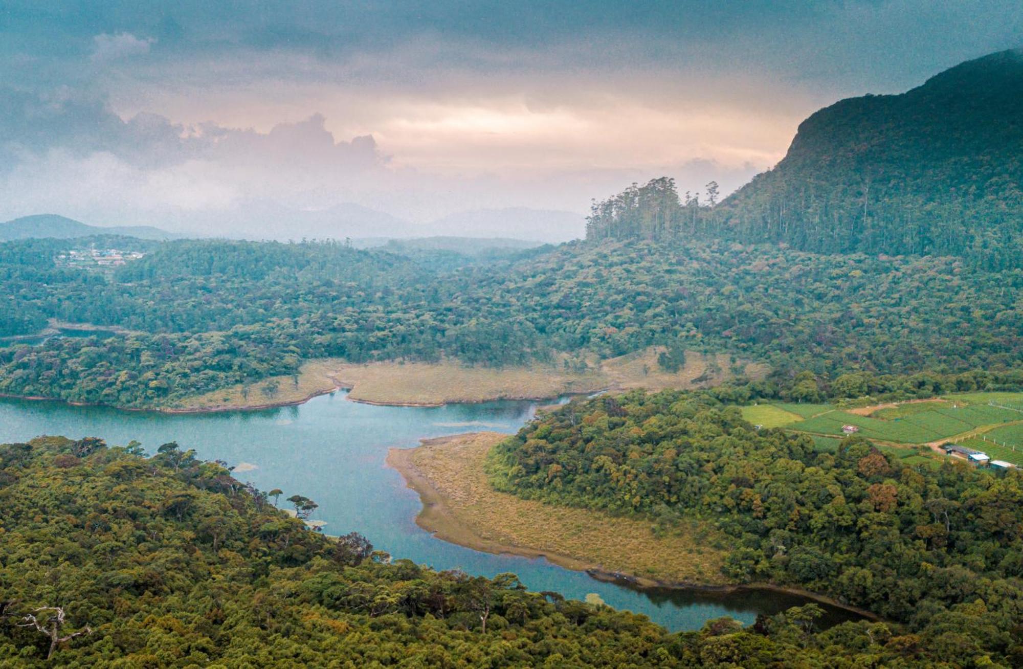 The Forest And Lake By Schofieldshire Nuwara Eliya Luaran gambar